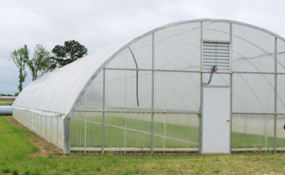 greenhouse structures