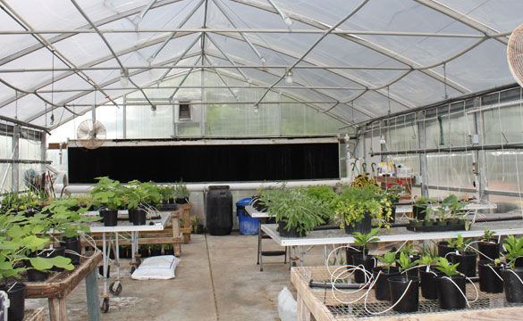 greenhouse supplies