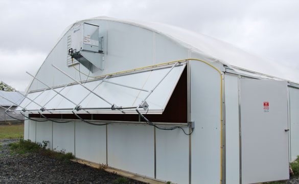 hemp greenhouse